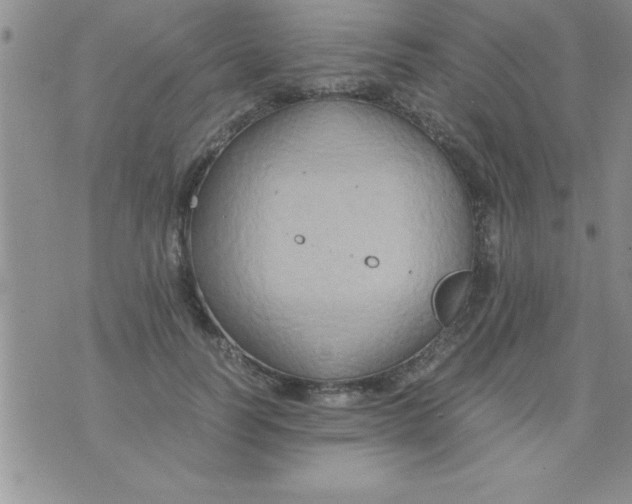 X0000075890746200610062052