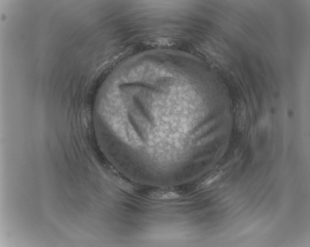 X0000075890747200610062052