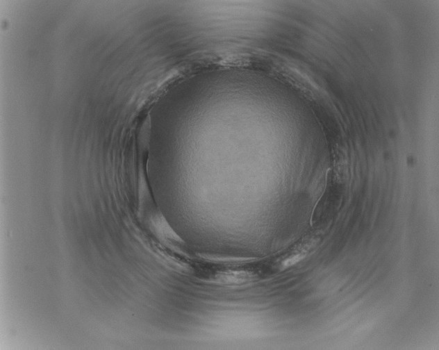 X0000075890748200610062052