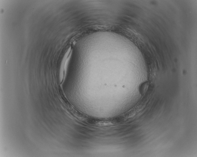 X0000075890749200610062052