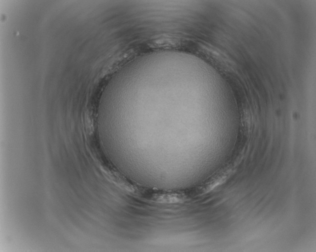 X0000075890751200610062052