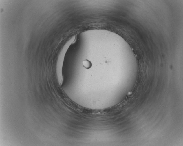 X0000075890752200610062052