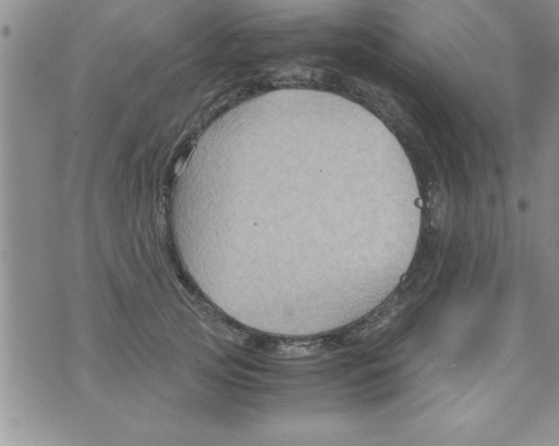 X0000075890753200610062052