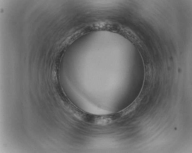 X0000075890754200610062052