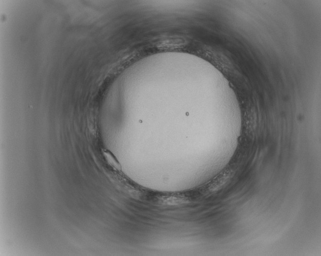 X0000075890755200610062052