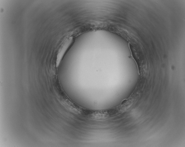 X0000075890756200610062052