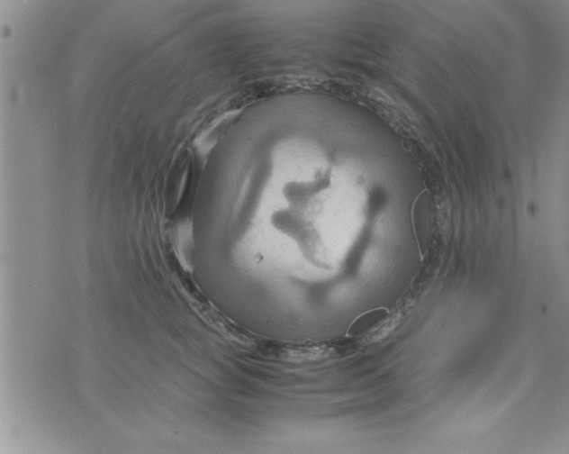 X0000075890757200610062052