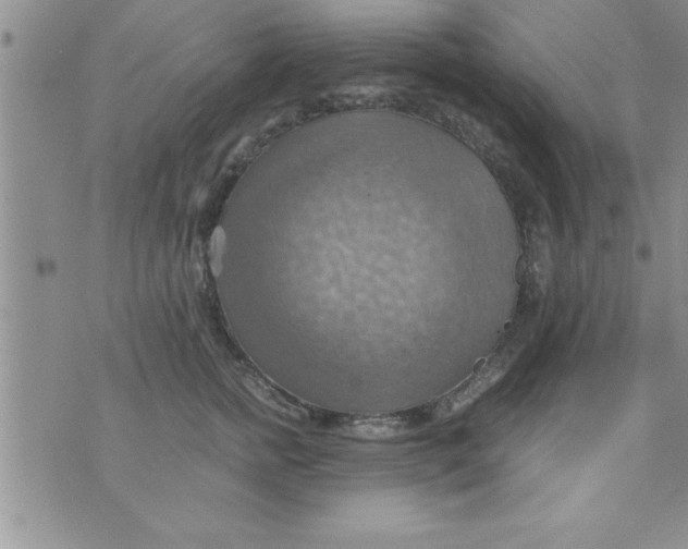 X0000075890758200610062052