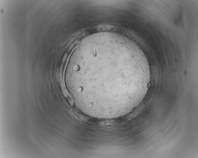 X0000075890761200610062053