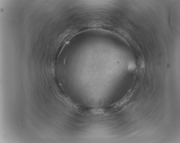 X0000075890762200610062053