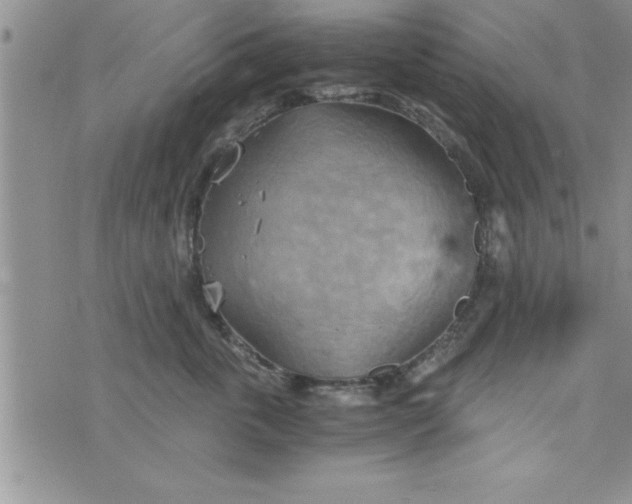 X0000075890763200610062053