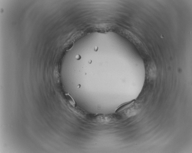 X0000075890764200610062053