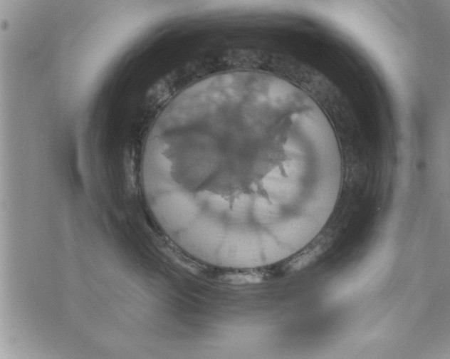 X0000075890765200610062053