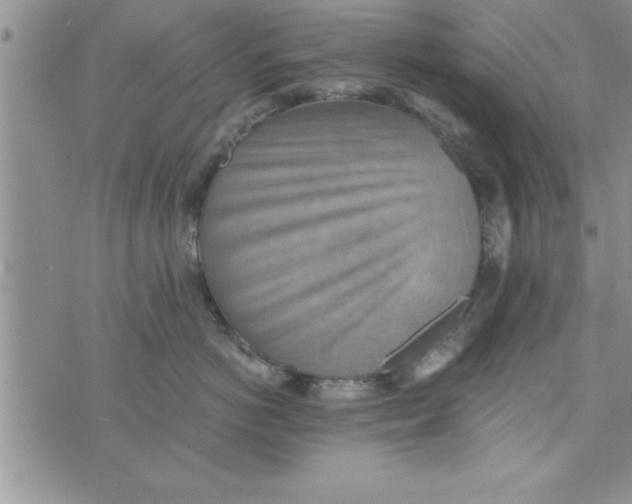 X0000075890766200610062053