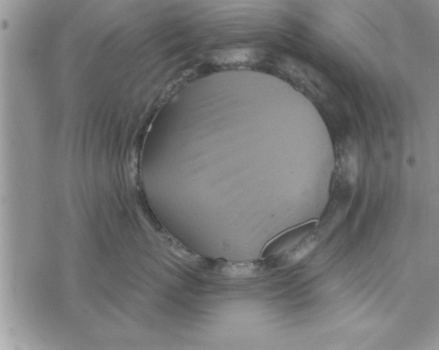 X0000075890767200610062053