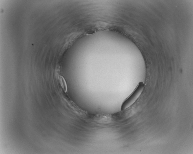 X0000075890768200610062053