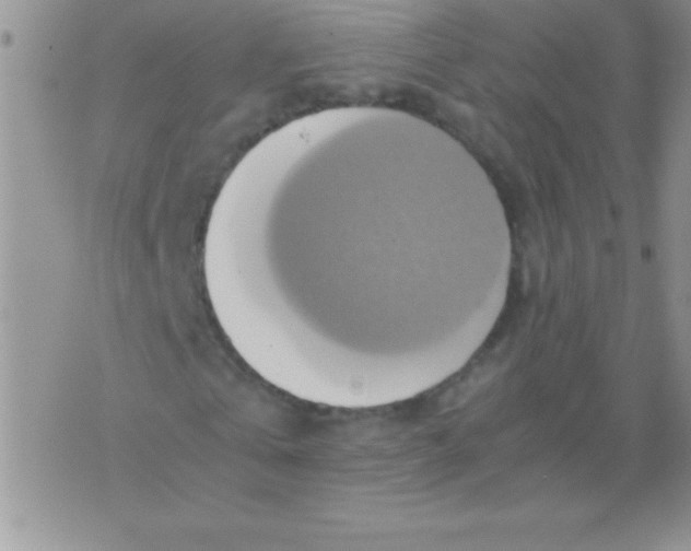 X0000075890769200610062052