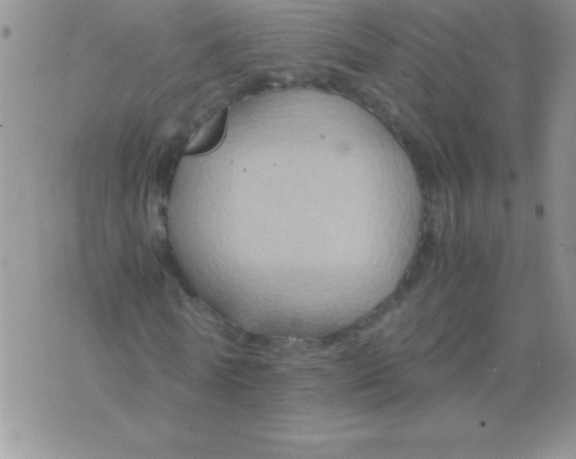 X0000075890770200610062052