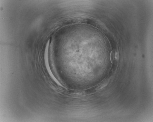 X0000075890771200610062052