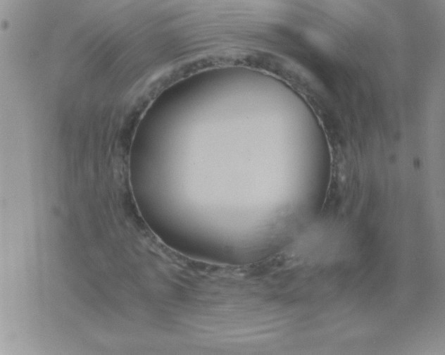 X0000075890773200610062052