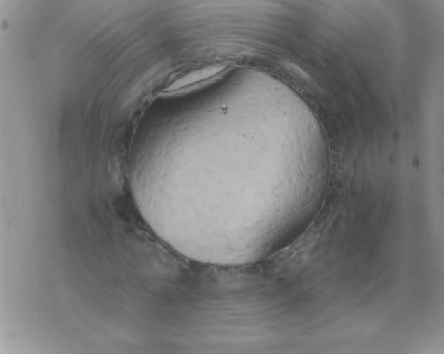 X0000075890774200610062052