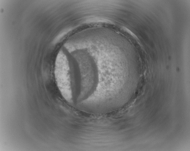 X0000075890775200610062052