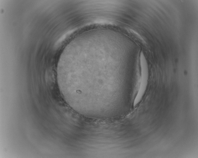 X0000075890776200610062052