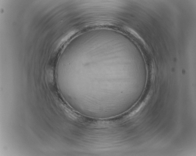 X0000075890777200610062052