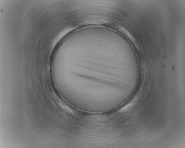 X0000075890779200610062052