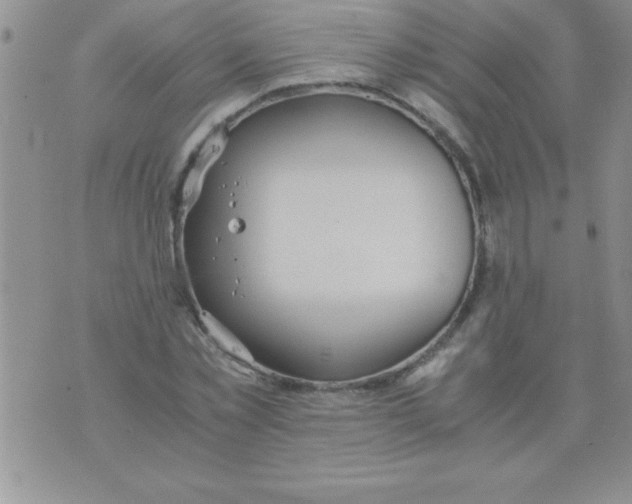 X0000075890781200610062052