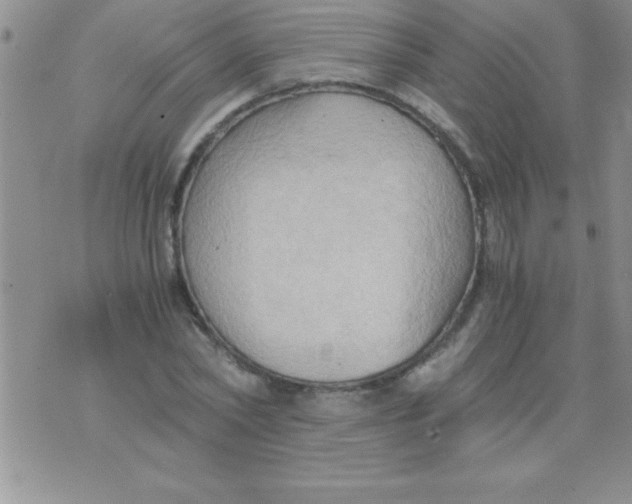 X0000075890782200610062052