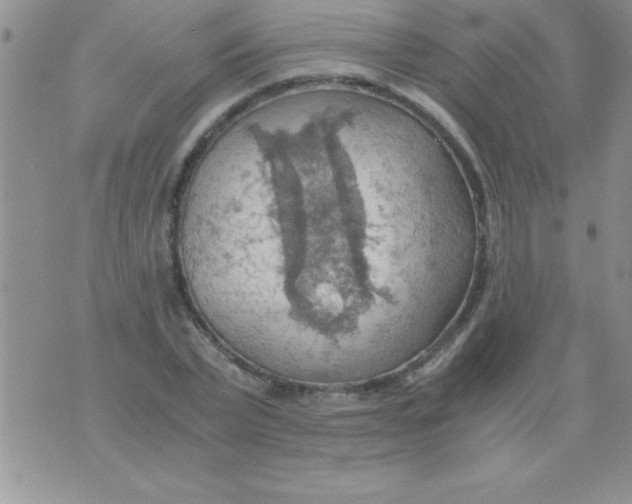 X0000075890783200610062052