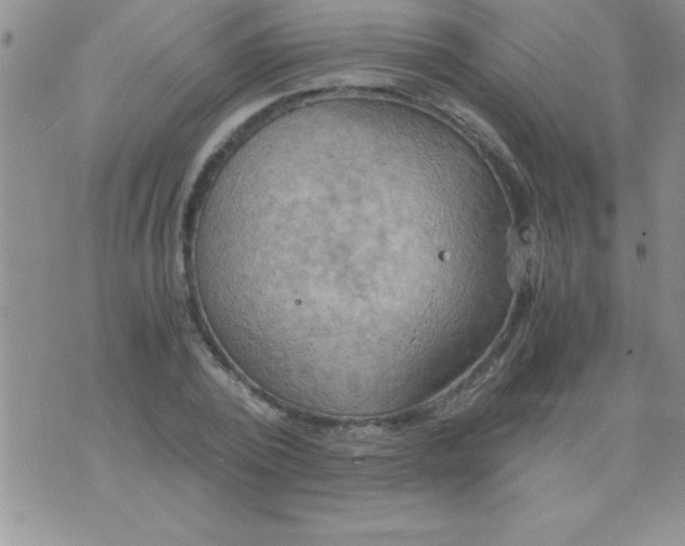 X0000075890784200610062052