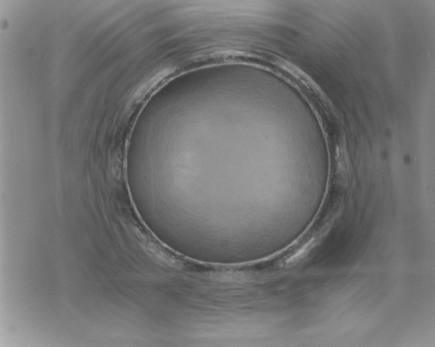 X0000075890785200610062052