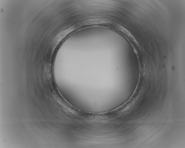 X0000075890786200610062052