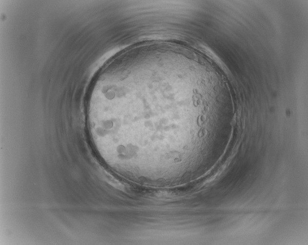 X0000075890787200610062052