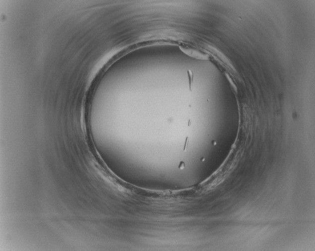 X0000075890788200610062052