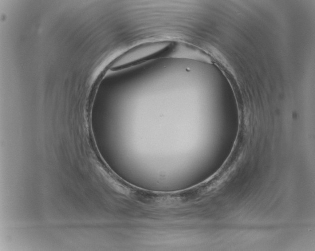 X0000075890789200610062052