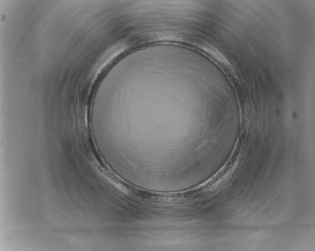 X0000075890790200610062052