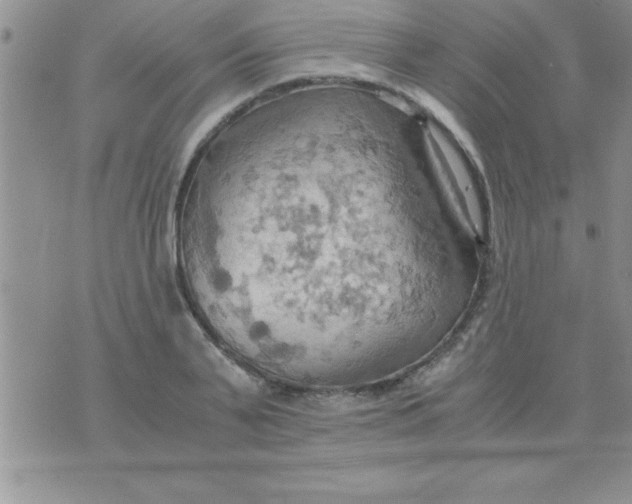 X0000075890791200610062051