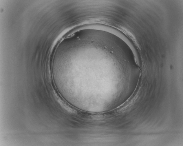 X0000075890792200610062051