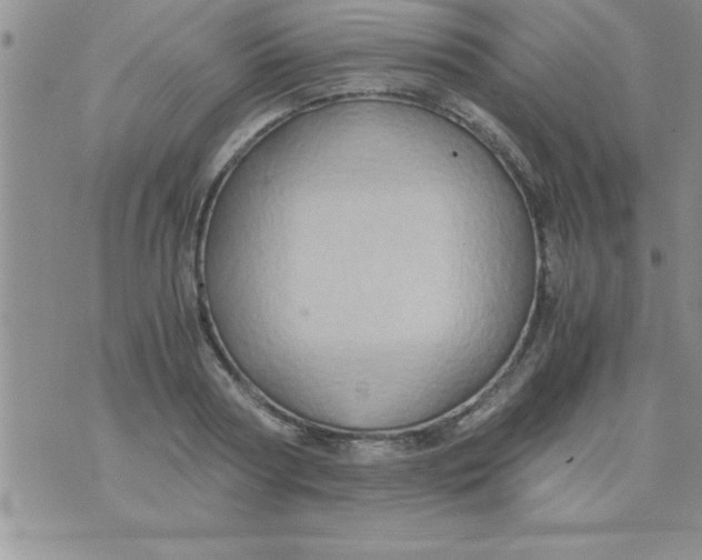 X0000075890794200610062051