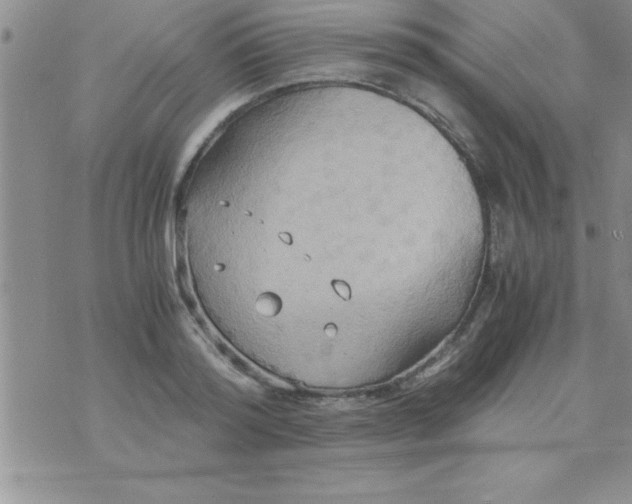 X0000075890796200610062051