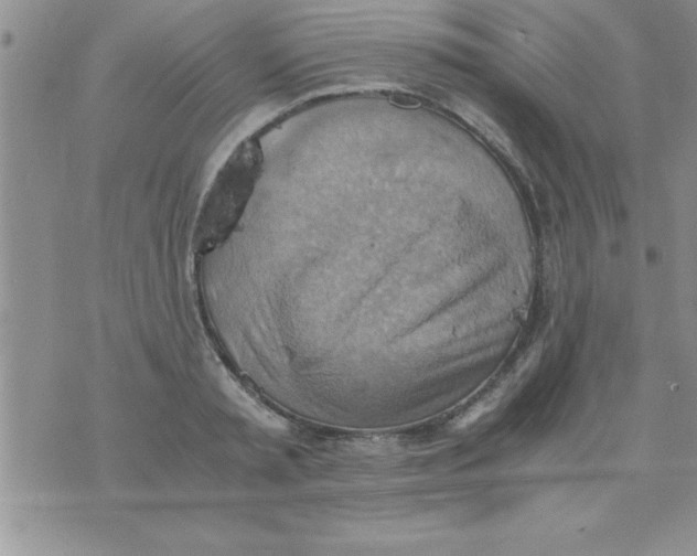 X0000075890797200610062051