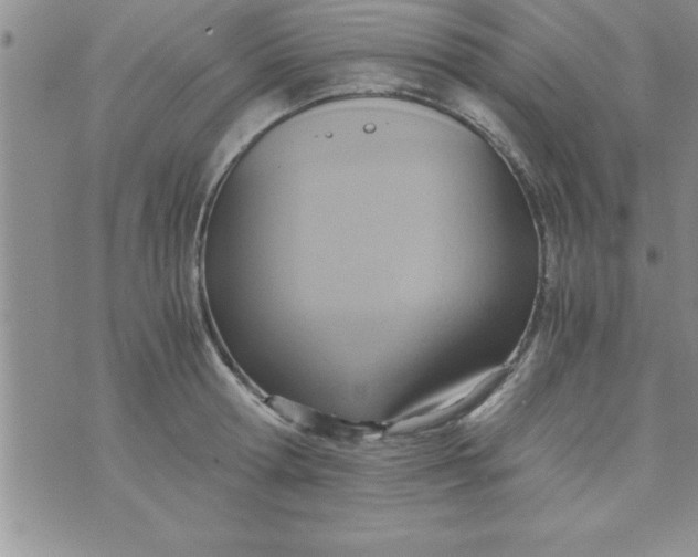 X0000075890802200610062051