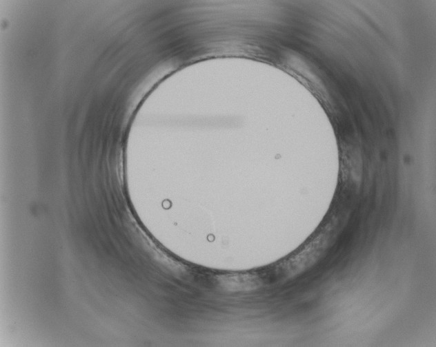 X0000075890804200610062051