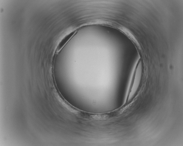 X0000075890805200610062051