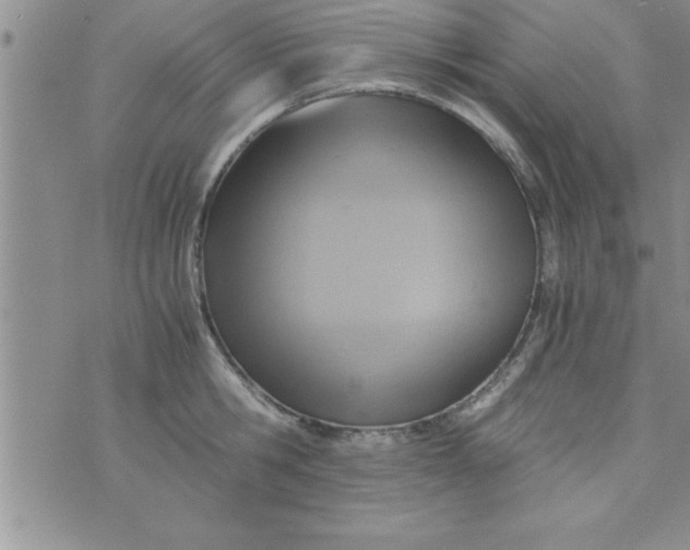 X0000075890806200610062051