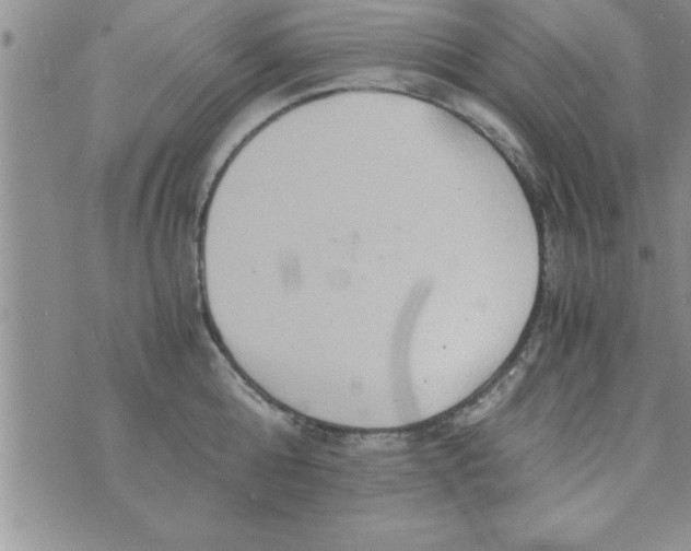 X0000075890808200610062051