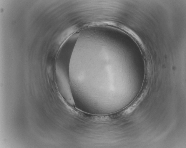 X0000075890809200610062051